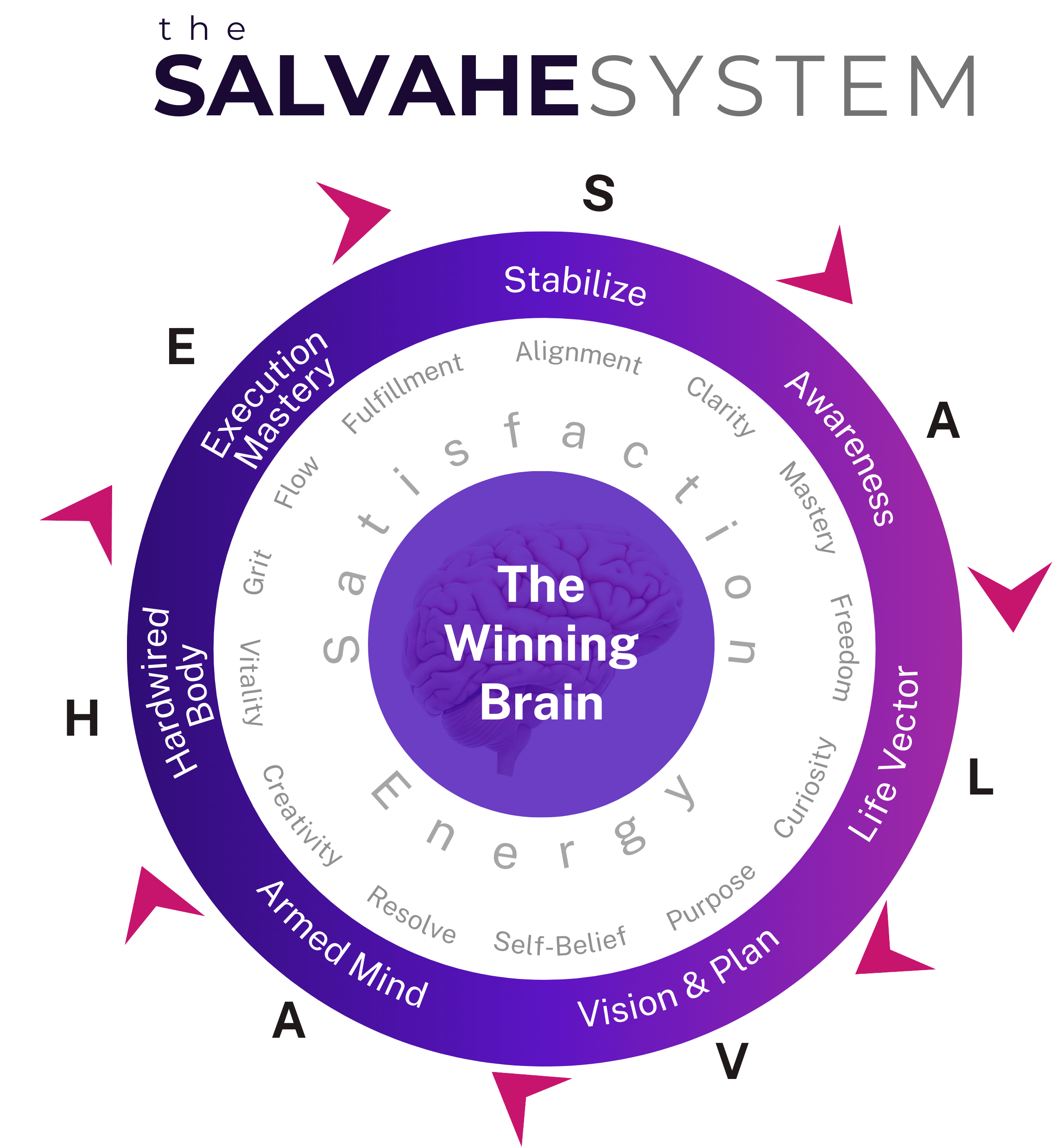The Salvahe System